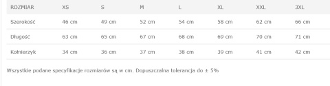 Koszula damska z krótkim rękawem SHLOXFSS SILVER